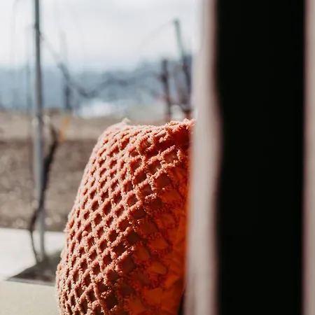 Relax An Der Lage Hochgrassnitzberg アパートホテル シュピールフェルト